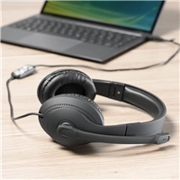 Hama PC  Office Headset HS-USB300