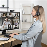 Hama PC  Office Headset HS-P150 V2