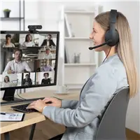 Hama PC Office Headset HS-USB300 V2