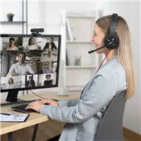 Hama PC Office Headset HS-USB400 V2