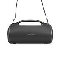 Hama Bluetooth reproduktor UltiMate Pro, vodeodolný, aplikácia, 120 W