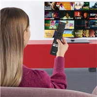 Hama univerzálny ovládač 1:1 pre TV Hisense