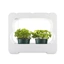 Xavax pestovacia stanica s LED svetlom, na bylinky/rastliny, na 2-3 nádoby pr. 10 cm, plné spektrum
