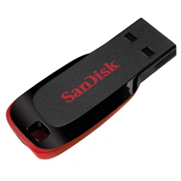 SanDisk Cruzer Blade 32 GB