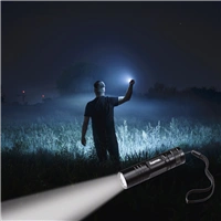 Hama regular R-103 LED Torch, black 