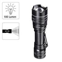 Hama Professional 1, LED Torch , 100 lumens