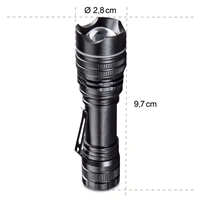 Hama Professional 1, LED Torch , 100 lumens