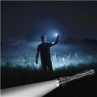 Hama Professional 2, LED Torch , 200 lumens