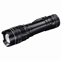 Hama Professional 4, LED Torch, 370 lumens