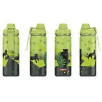 Izolovaná fľaška na nápoj z nerezovej ocele Step by Step 0,5 l, Black Cat