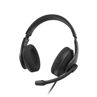 Hama PC Office Headset HS-USB300 V2