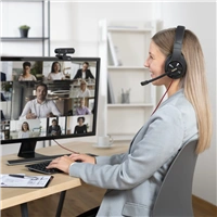 Hama PC Office Headset HS-USB400 V2