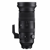 SIGMA 60-600 mm F4.5-6.3 DG DN OS Sports pre Sigma L / Panasonic / Leica