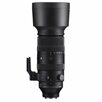 SIGMA 60-600 mm F4.5-6.3 DG DN OS Sports pre Sony E