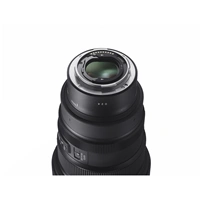 SIGMA 15 mm F1.4 DG DN DIAGONAL FISHEYE Art pre Sony E