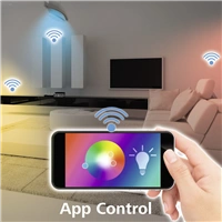 Hama SMART WiFi stropn svetlo, okrhle, priemer 30 cm, kovov rm