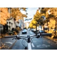 Bicycle Mirror