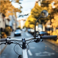 Bicycle Mirror