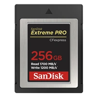 SanDisk  Extreme PRO CF expres 256 GB, Type B