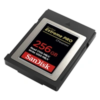 SanDisk  Extreme PRO CF expres 256 GB, Type B