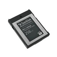 SanDisk PRO-CINEMA CFexpress VPG400 PCIe3x2 256 GB
