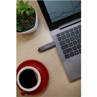 Sandisk Extreme PRO Dual Drive 256 GB, Metal Dual Drive,1000/900 MB/s