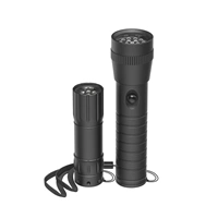 Hama FL-DUO, LED baterky, hliníkové, 25 lm/ 60 lm, pútko na ruku, vr. batérií, set 2 ks