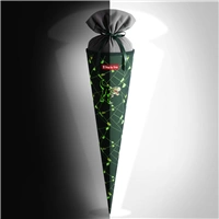 Kornút pre prváčikov Step by Step, Dino Night Tyro