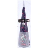 Kornút pre prváčikov Step by Step, Pegasus Night Nual