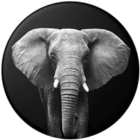 PopSockets PopGrip Gen.2, Loxodonta Africana, slon africký