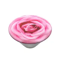 PopSockets PopTop Gen.2, Rose All Day, ružová ruža, výmenný vršok