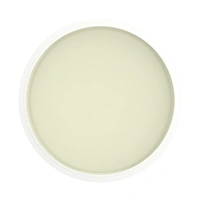 PopSockets Gen.2 PopLips, Vanilla Dream, náhradná nápl, vanilka, 2 ks