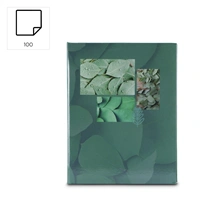 Hama album SINGO II Leaves 10x15/100